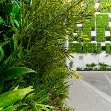 VistaFolia Luxury Condo Green Walls