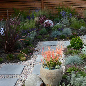 Contemporary Seaside Garden