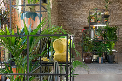 House and office plants supplied for an indoor art installation at the iconic Ha