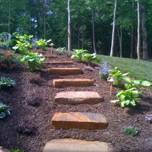 Cedar Outside