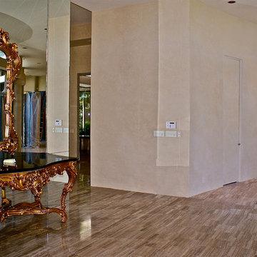 Modern Home Faux Finishes and Venetian
