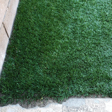 Backyard clean up and remodel