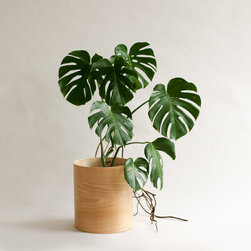 Flor Planter - Indoor Pots And Planters