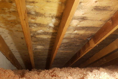 Mold remediation of attic