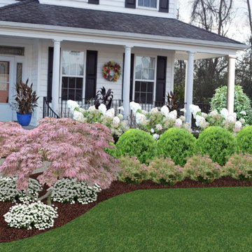 Foundation Plantings