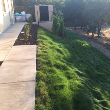 El Dorado Hills - Serrano Complete Landscape