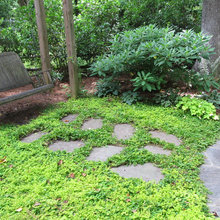 Backyard Evolution