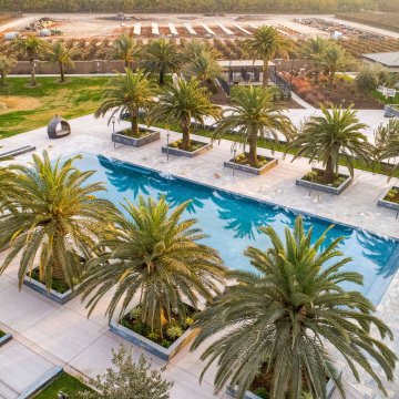 Mid-East Modern