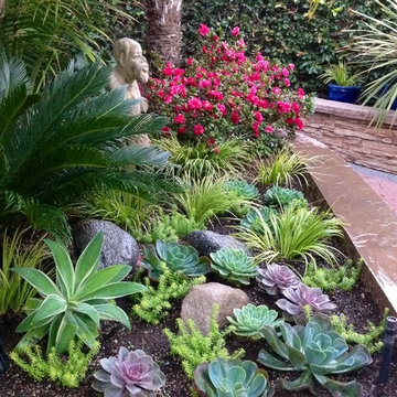 Moonray Succulent Garden