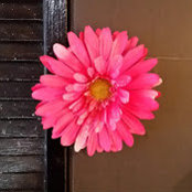 Bonnie Smart's photo