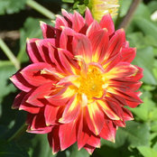 Laurisa R.'s photo