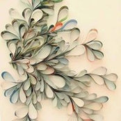 Carrie Chavez's photo