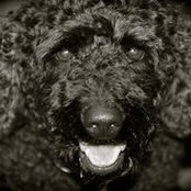 Sonya Page's photo