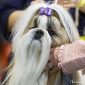Nataly Kovaliova's photo