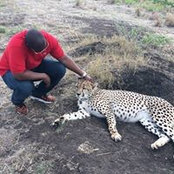Foto di Zosukuma Kunene