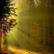 Loubna Bena's photo