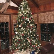 Shelly Carmichael's photo
