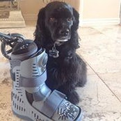 Barbara Brown's photo
