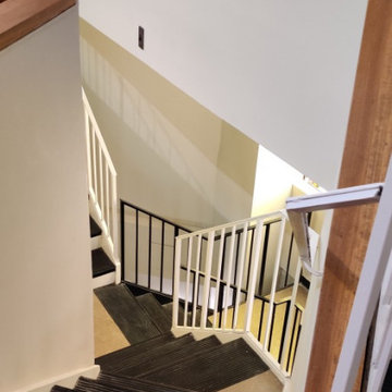 Mold Remediation Project in Deanwood
