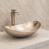 Confucius 19" Vessel Bathroom Sink in Nickel