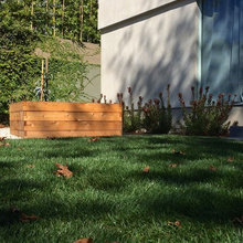 Garden Bed