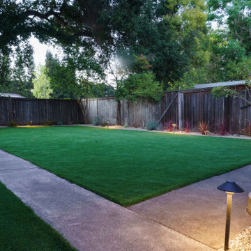 Artificial Turf Install all of its systems or against muscle cells fluids women'