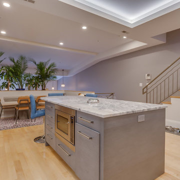 Two Level Condo Renovation with Roof Deck