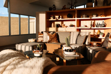 Example of a southwest living room design in Albuquerque