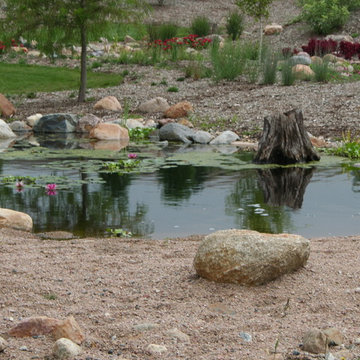 Koi Ponds and Water Gardens