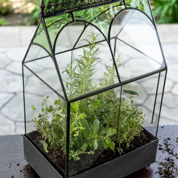 Father's Day Terrarium Project