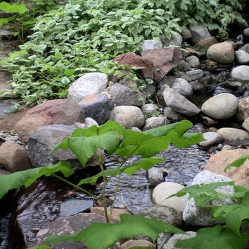 Stream