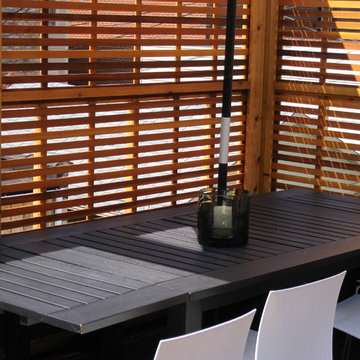 Ipe, Pau- Lope Roof Top Deck