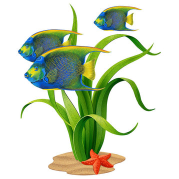 Grass with Queen Angelfish Porcelain Pool Mosaic ( 19" X 16" )