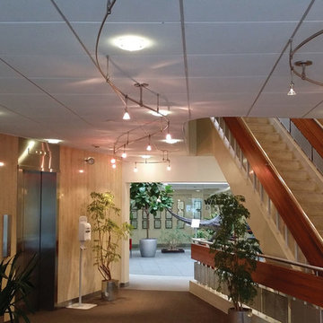 Commercial Lighting