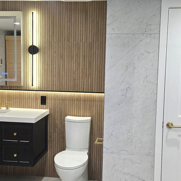 Modern Basement Spa Bathroom
