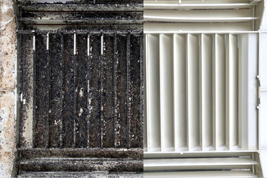 Air duct cleaning and Mold removal