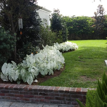 Snapdragons, Violas, and Allysum