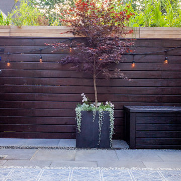 Brooklyn Backyard fit for a Fiesta