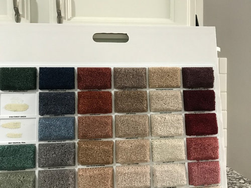 Need help choosing carpet color