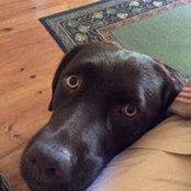 Barbara Goodwin's photo