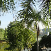 Foto de Cole

