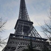 Foto von Elizabeth Zedark