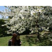 Yaeeun Han's photo