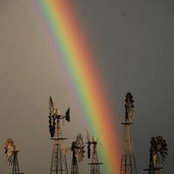 Annette Downey's photo
