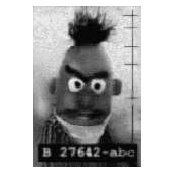 Bert Visさんの写真
