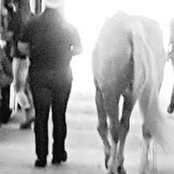 Meagan McCabe's photo