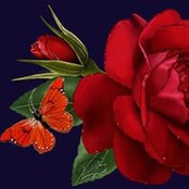 Kathy Becker's photo