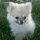webuser_2556855