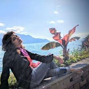 Subhadra Chatterjee's photo