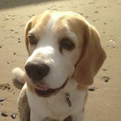 Emma O'Callaghan's photo